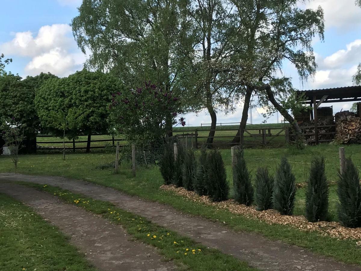 Apartmán Heidezeit 3 Neuenkirchen  Exteriér fotografie